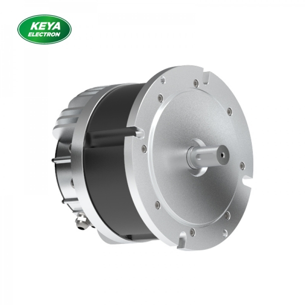 同乐城网页登录215系列48V 4000W 1500RPM